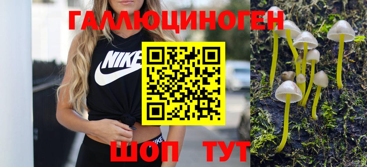 Тула  Псилоцибиновые грибы прущие грибы  где купить наркотик  Вход с VPN 